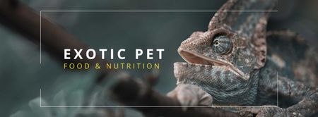 Plantilla de diseño de chameleon consejos para el cuidado de reptiles Facebook cover 