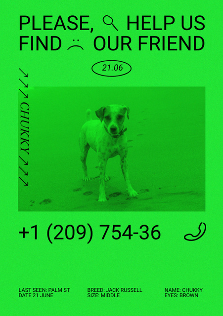 Announcement about Missing Dog Flyer A5 Design Template