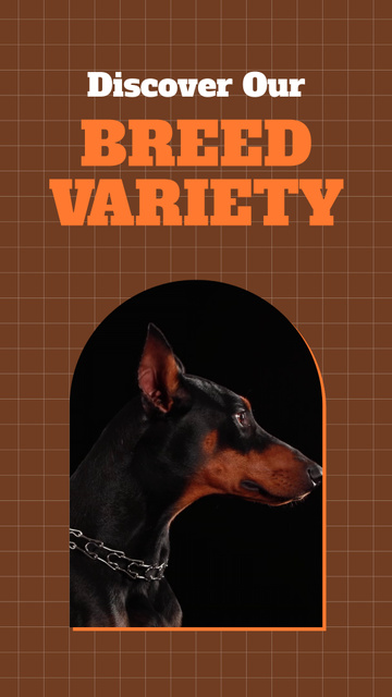 Modèle de visuel Professional Pet Breeder Offer Big Variety Of Dog Breeds - Instagram Video Story