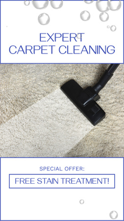 Plantilla de diseño de Servicio experto de limpieza de alfombras con opción gratuita para quitar manchas Instagram Video Story 