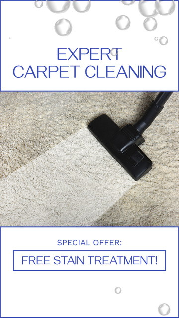 Ontwerpsjabloon van Instagram Video Story van Expert Carpet Cleaning Service With Free Stain Option