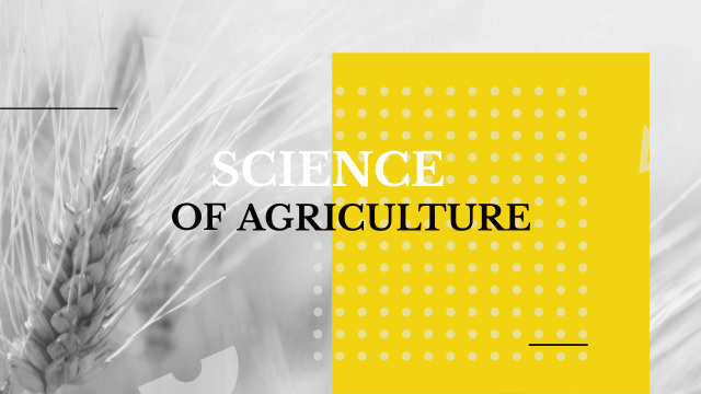 Plantilla de diseño de Agricultural Ears of Wheat in Field Youtube 