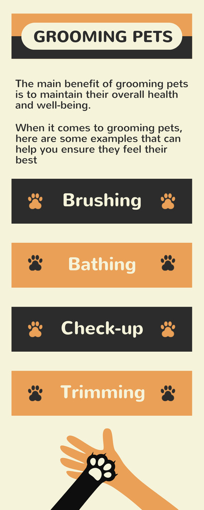 Pets Grooming Guide Infographic Tasarım Şablonu