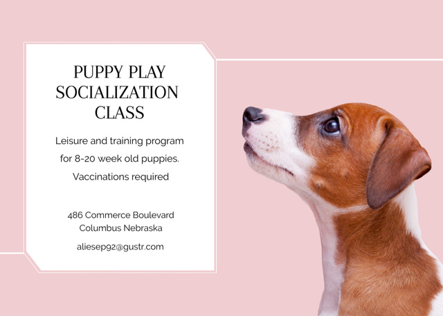 Puppy Socialization Class Promotion Postcard 5x7in Design Template