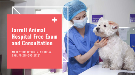 Vet Clinic Ad Doctor Holding Dog Title 1680x945px Design Template