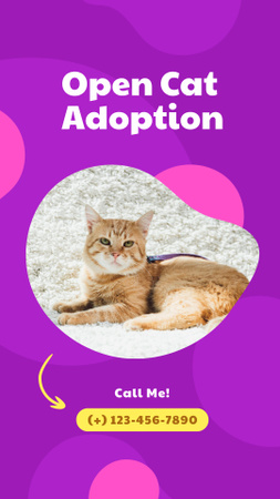 Designvorlage Open Adoption of Cat für Instagram Story