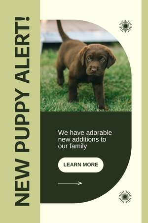 New Arrival of Adorable Puppies Pinterest Design Template