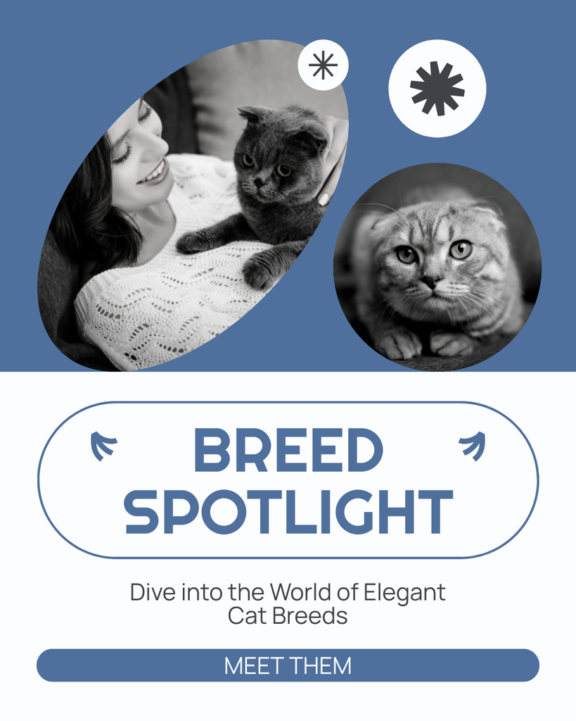 Platilla de diseño Elegant Cat Breeds Expo Event Instagram Post Vertical