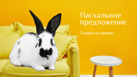 Cute Easter Bunny sitting on the sofa Full HD video – шаблон для дизайна
