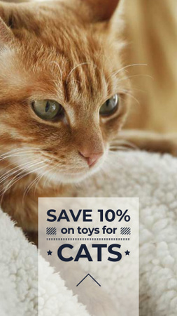 Toys for Cats Discount Offer Instagram Story – шаблон для дизайну