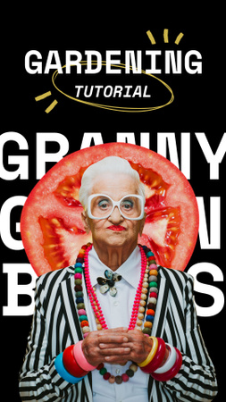 Blog Promotion with Funny Elder Woman Instagram Story Modelo de Design