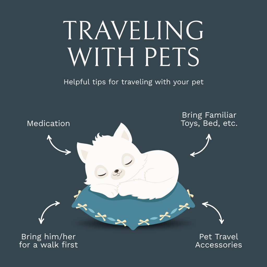 Cat Sleeping on Pillow for Travelling with Pet  Instagram Design Template