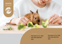 Pet Food Offer with Girl Hugging Bunny