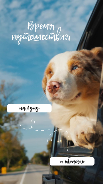Designvorlage Travelling with Pet Dog in Car für TikTok Video