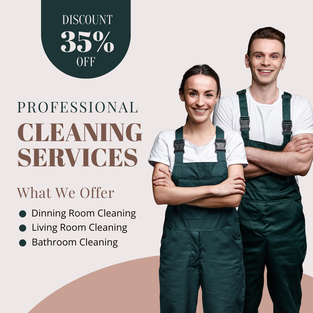 Discount on Professional Cleaning Services Instagram Šablona návrhu