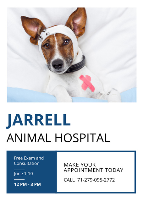 Animal Hospital Ad with Cute Injured Dog Flyer A6 Tasarım Şablonu