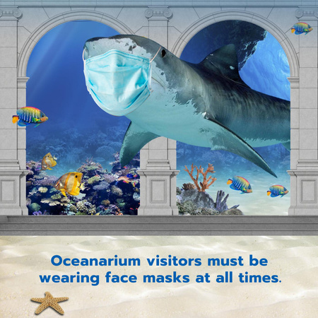 Ontwerpsjabloon van Instagram van Funny Illustration of Shark in Medical Face Mask