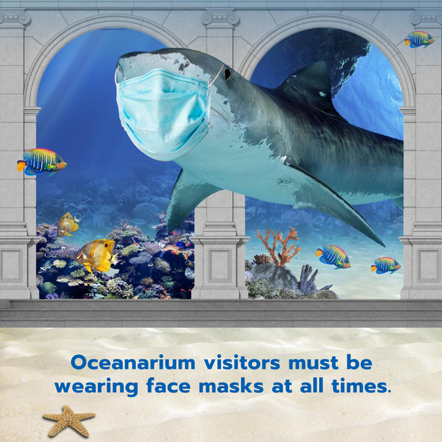 Funny Illustration of Shark in Medical Face Mask Instagram Design Template