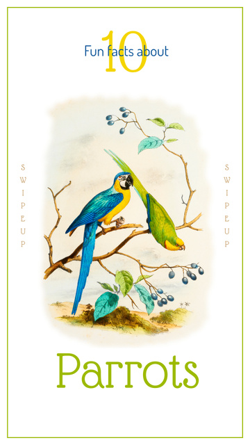 Parrot birds on a tree Instagram Story tervezősablon