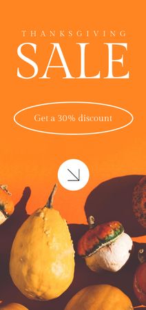 Thanksgiving Sale Announcement with Pumpkins Flyer DIN Large Design Template