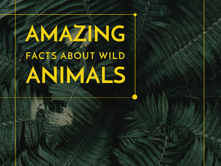 Designvorlage Erstaunliche Fakten über wilde Tiere für Presentation