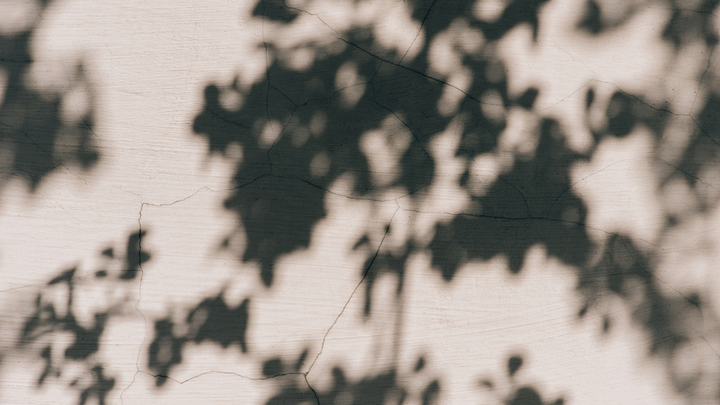 Platilla de diseño Shadows of trees on the Wall Zoom Background