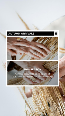 Oferta de venda de roupas e acessórios de outono com trigo Instagram Story Modelo de Design