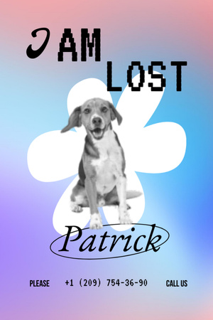 Announcement about Missing Dog Flyer 4x6in Design Template