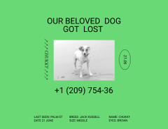 Bright Green Ad about Missing Little Dog