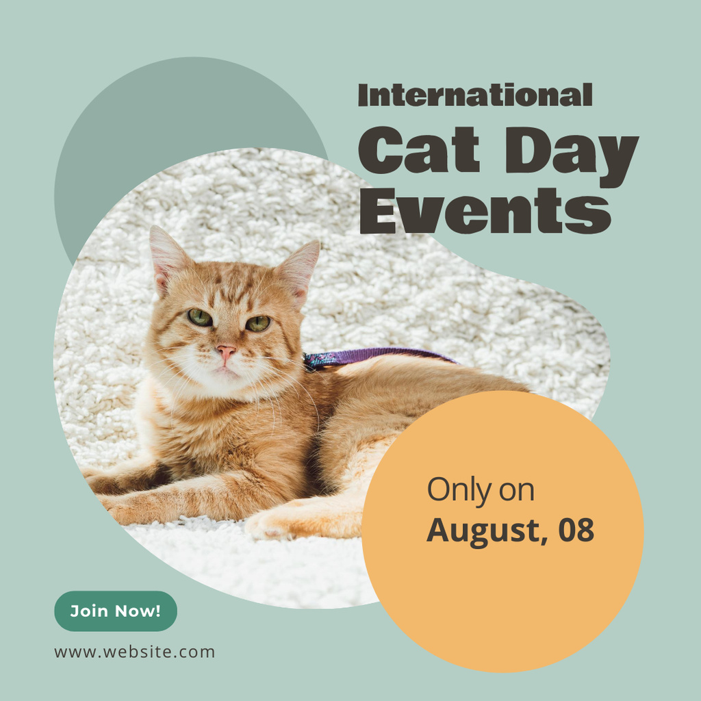 International Cat Day Events Announcement Instagram – шаблон для дизайну