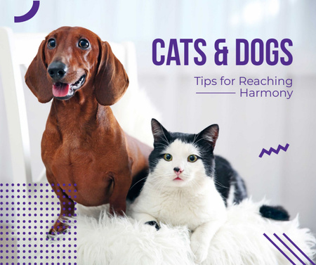 Caring About Pets with Dachshund and Cat Facebook Design Template