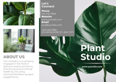 Plant Studio Advertisement Collage