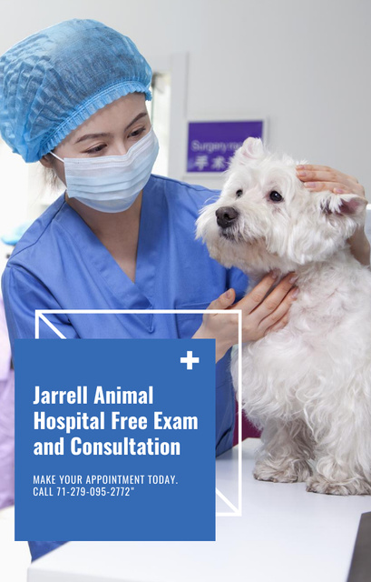 Template di design Vet Clinic Ad with Doctor Holding Dog Invitation 4.6x7.2in