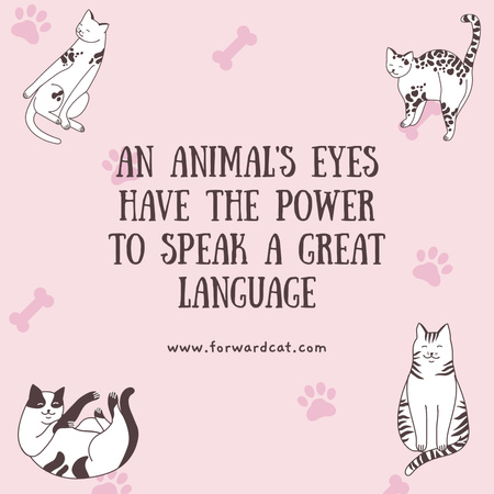 Kissat ja mielenkiintoisia faktoja eläimistä Instagram Design Template