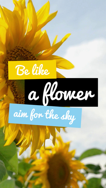 Modèle de visuel Blooming Sunflowers And Inspirational Quote - Instagram Video Story
