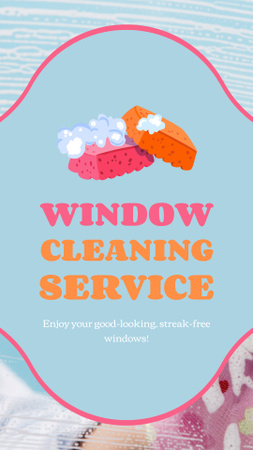 Platilla de diseño Window Cleaning Service With Sponges And Detergent Instagram Video Story