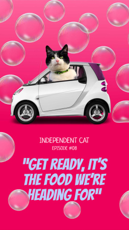 Modèle de visuel chat drôle dans l'équitation de voiture dans les bulles - Instagram Story