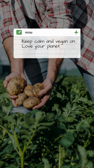 Vegan Lifestyle Concept with Green Summer Field Instagram Story – шаблон для дизайна