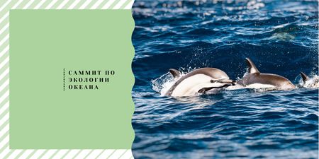 Dolphins swimming in sea Twitter – шаблон для дизайна