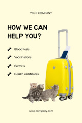 Travel Tips with Pets with Cute Kittens and Passport