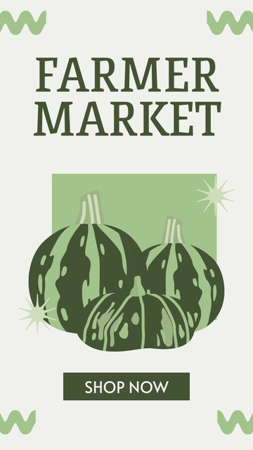 Farmers Market Advertising with Green Pumpkins Instagram Story Design Template
