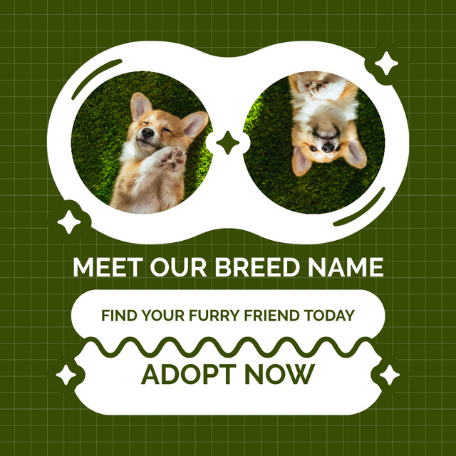 Meet New Purebred Puppies Instagram ADデザインテンプレート