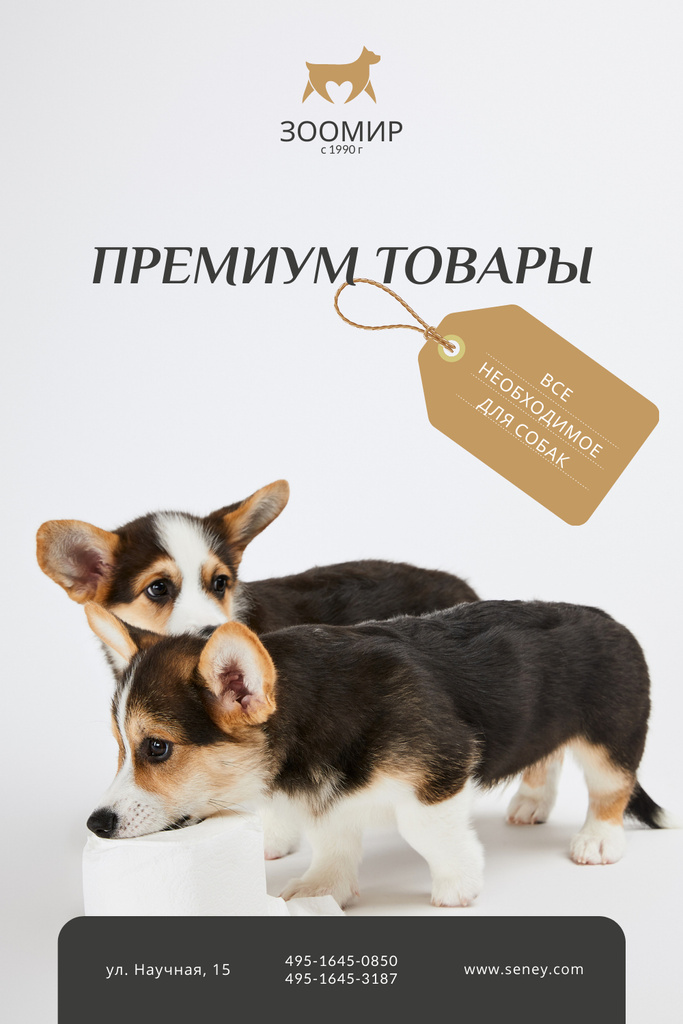 Ontwerpsjabloon van Pinterest van Dog Food Ad with Cute Corgi Puppies
