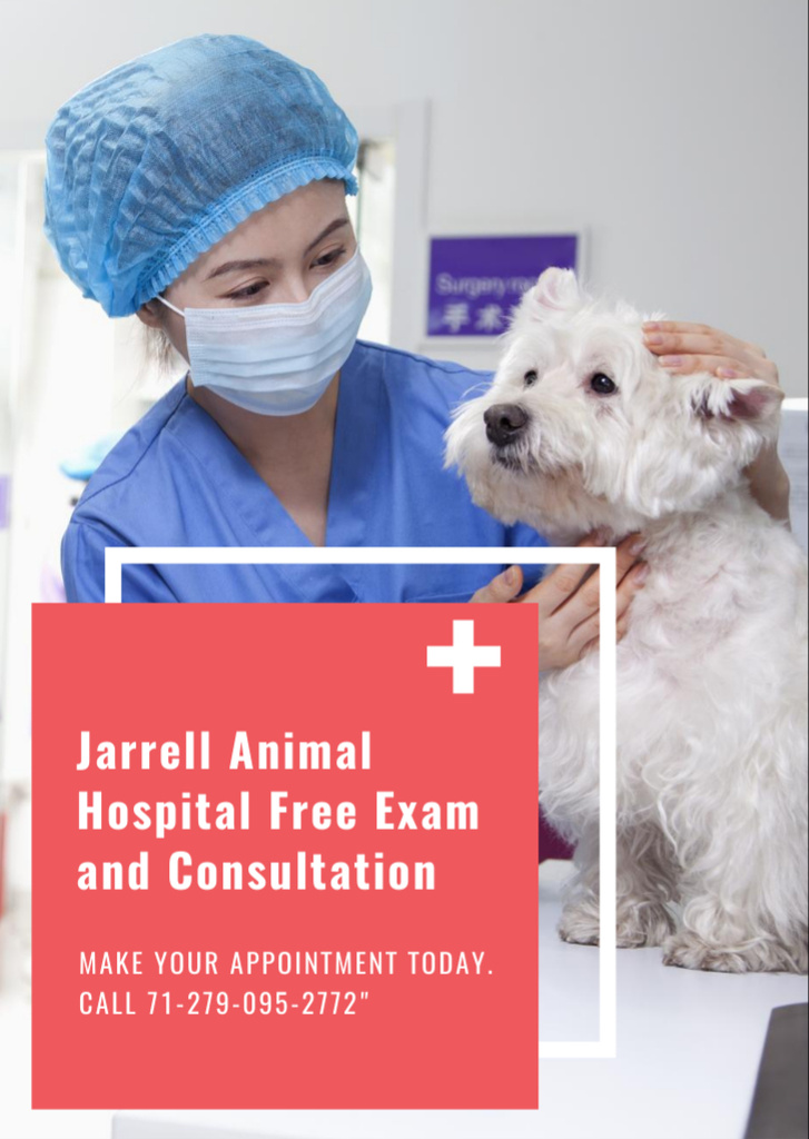 Vet Clinic Services Offer Ad with Veterinarian Doctor Examining Dog Flyer A6 Modelo de Design
