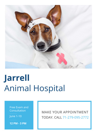 Animal Hospital Ad with Cute injured Dog Flayer Tasarım Şablonu