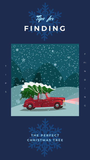 Modèle de visuel Automobile Delivering Christmas Tree And Tips On Choosing Best - Instagram Story
