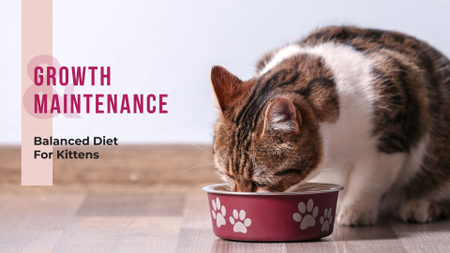 Cute cat eating from bowl on floor Presentation Wide Design Template