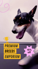 Premium Breeding Center Services With Discount