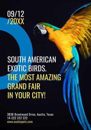 Exotic Birds Fair with Blue Macaw Parrot Flyer A5 Design Template