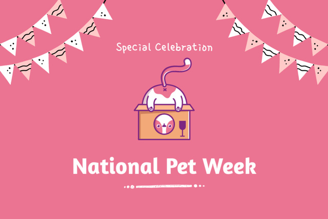 National Pet Week with Illustration of Playful Cat in Pink Postcard 4x6in Design Template